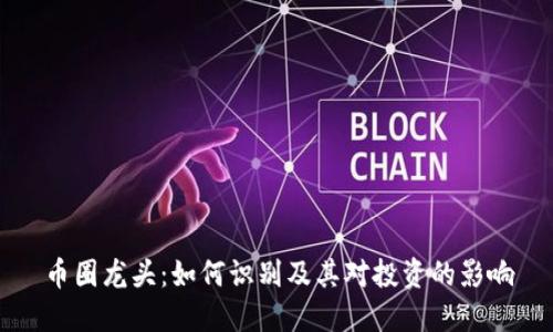 币圈龙头:如何识别及其对投资的影响