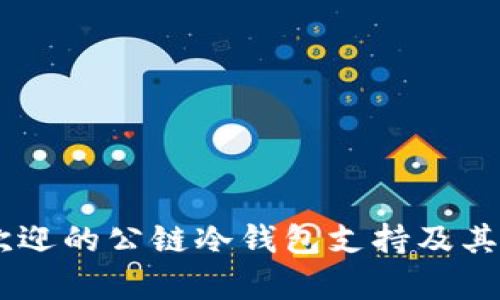 目前最受欢迎的公链冷钱包支持及其安全性分析