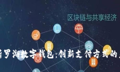 全面解析罗湖数字钱包:创新支付方式的未来趋势
