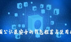 币圈公认最安全的钱包推荐与使用指南