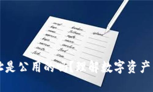 交易所的钱包地址是公用的吗?理解数字资产的安全性和隐私性