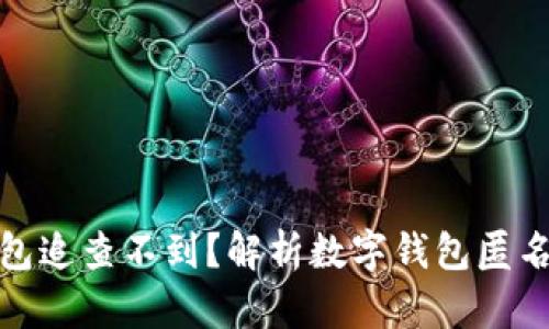 什么数字钱包追查不到?解析数字钱包匿名性及其影响