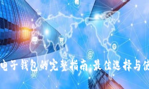 区块链电子钱包的完整指南:最佳选择与使用技巧
