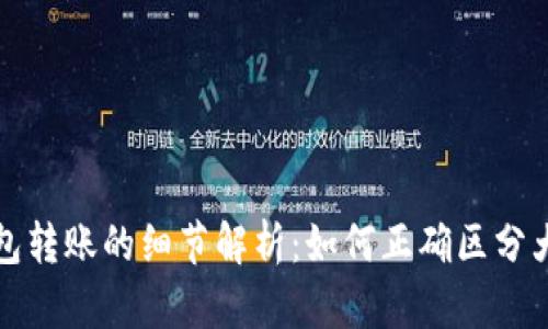 冷钱包转账的细节解析:如何正确区分大小写