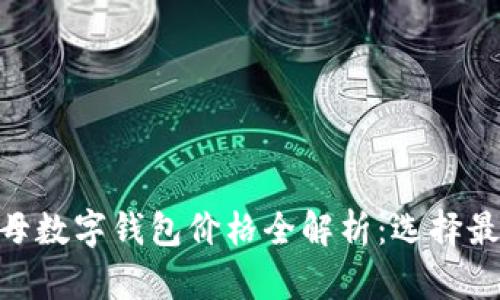 bianoti2023年字母数字钱包价格全解析:选择最佳数字钱包的策略