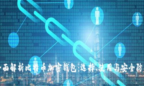 全面解析比特币加密钱包:选择、使用与安全防护