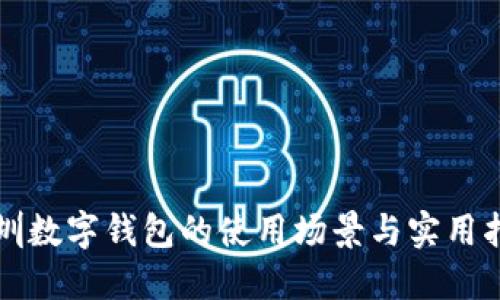 深圳数字钱包的使用场景与实用指南