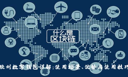 胶州数字钱包详解:使用场景、优势与使用技巧