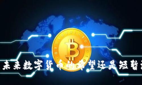 Pi币:未来数字货币的希望还是短暂泡沫?