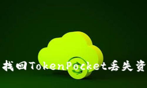 如何成功申诉找回TokenPocket丢失资产的完整指南