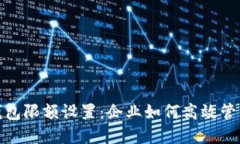对公数字钱包限额设置:企业如何高效管理资金