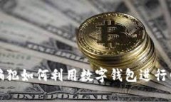 揭秘诈骗犯如何利用数字钱包进行网络犯罪