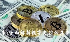 数字钱包瑞辛:全面解析数字支付的未来趋势与
