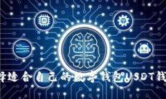 如何选择适合自己的数字钱包USDT钱包图标?