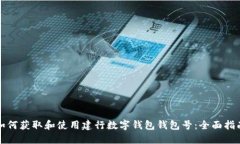 如何获取和使用建行数字钱包钱包号:全面指南