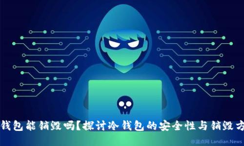 冷钱包能销毁吗？探讨冷钱包的安全性与销毁方式