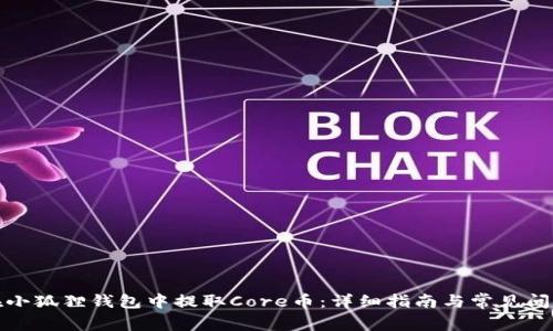如何在小狐狸钱包中提取Core币:详细指南与常见问题解答