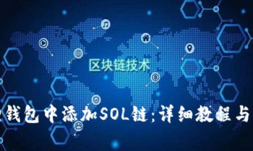 如何在小狐狸钱包中添加SOL链:详细教程与常见问题解答