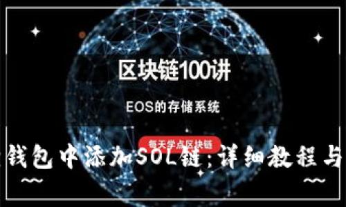 如何在小狐狸钱包中添加SOL链:详细教程与常见问题解答