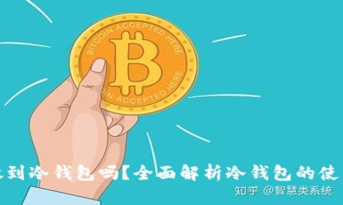 什么币都可以放到冷钱包吗？全面解析冷钱包的使用与币种兼容性