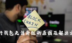 数字银行钱包无法升级的原因及解决方法详解