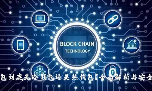 TP钱包到底是冷钱包还是热钱包?全面解析与安全提示