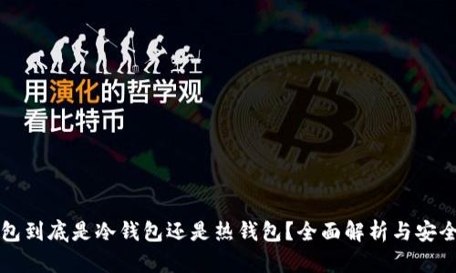 TP钱包到底是冷钱包还是热钱包?全面解析与安全提示