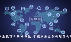 阳泉数字人民币钱包:掌握未来支付的智慧之选