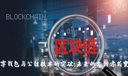 数字钱包与公链技术的突破:未来的支付方式变革