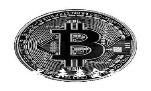 北京数字钱包开发:未来金融科技的创新之路