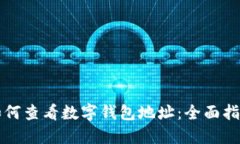 如何查看数字钱包地址:全面指南