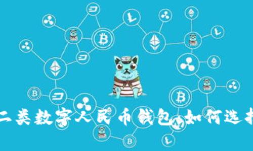 全面解析一二类数字人民币钱包：如何选择与使用指南