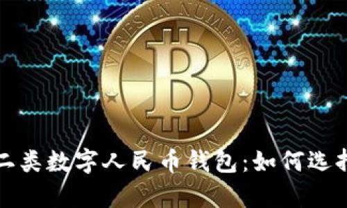 全面解析一二类数字人民币钱包：如何选择与使用指南