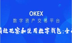 如何有效观察和使用数字钱包:全面指南