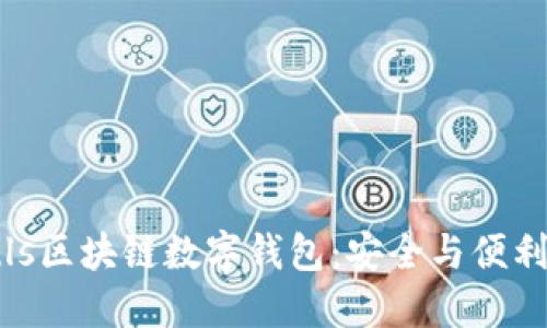 探索Puls区块链数字钱包:安全与便利的结合