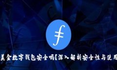 示例美金数字钱包安全吗?深入解析安全性与使