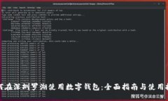 如何在深圳罗湖使用数字钱包:全面指南与使用