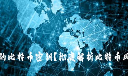 如何找回遗忘的比特币密钥?彻底解析比特币风险与应对策略
