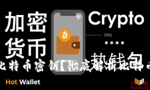 如何找回遗忘的比特币密钥?彻底解析比特币风险与应对策略