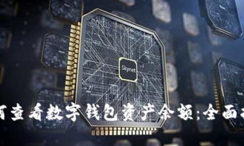 如何查看数字钱包资产余额：全面指南