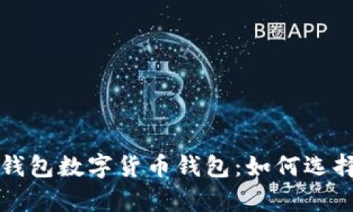 全面解析冷钱包数字货币钱包：如何选择与使用指南