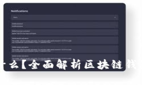 区块链钱包存放什么?全面解析区块链钱包的功能与安全性