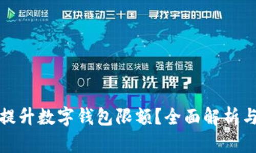 如何有效提升数字钱包限额？全面解析与实用技巧