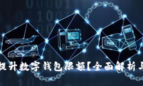 如何有效提升数字钱包限额？全面解析与实用技巧