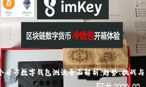 中国31个省市数字钱包测试全面解析:趋势、挑战与未来前景