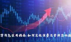 兔子数字钱包使用指南:如何高效消费及管理您