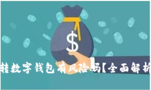 : 数字钱包转数字钱包有风险吗?全面解析与注意事项