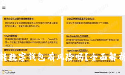 : 数字钱包转数字钱包有风险吗?全面解析与注意事项