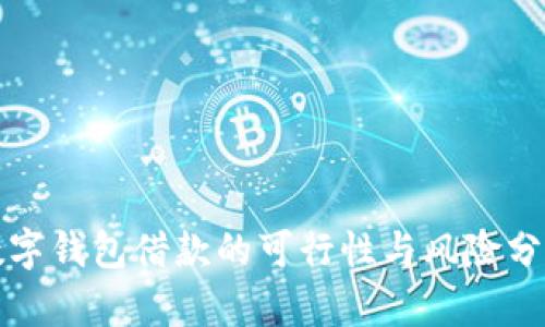 数字钱包借款的可行性与风险分析