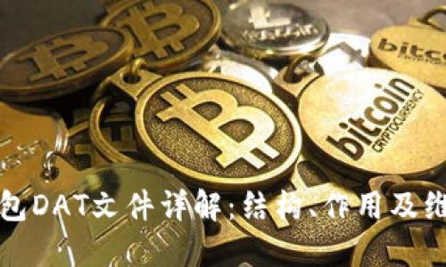 数字钱包DAT文件详解:结构、作用及维护指南